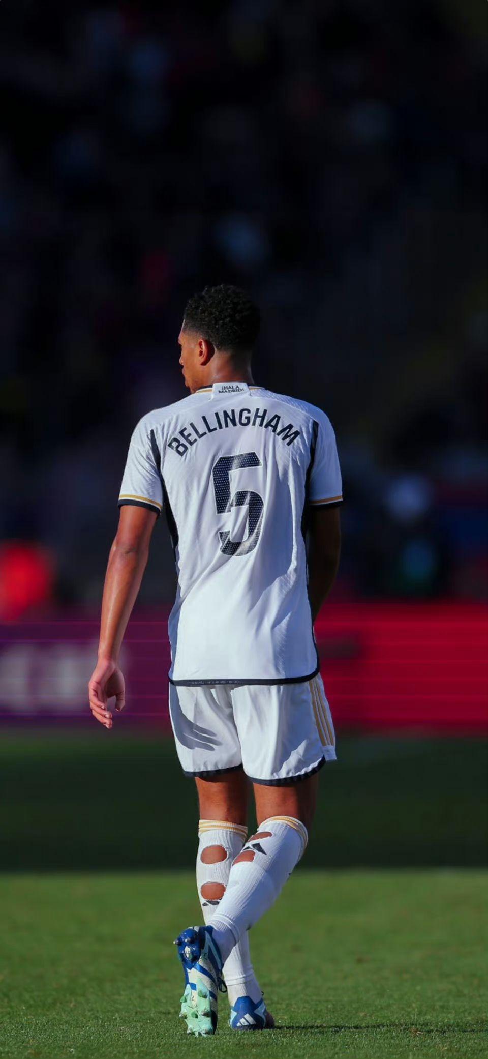 只有在制度 只有在制度